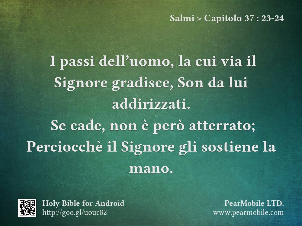 Salmi, Capitolo 37:23-24